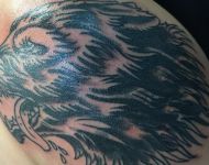 Wolf cover up